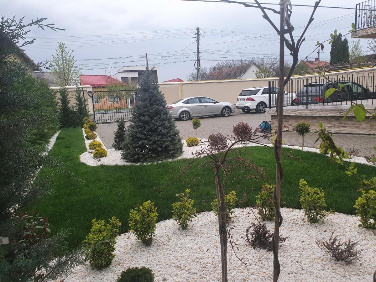 Pensiunea Mystique Arad Esterno foto